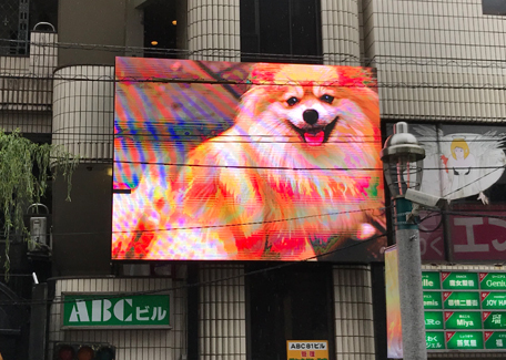 宮崎市ABCビルLEDビジョン