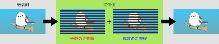 用語解説